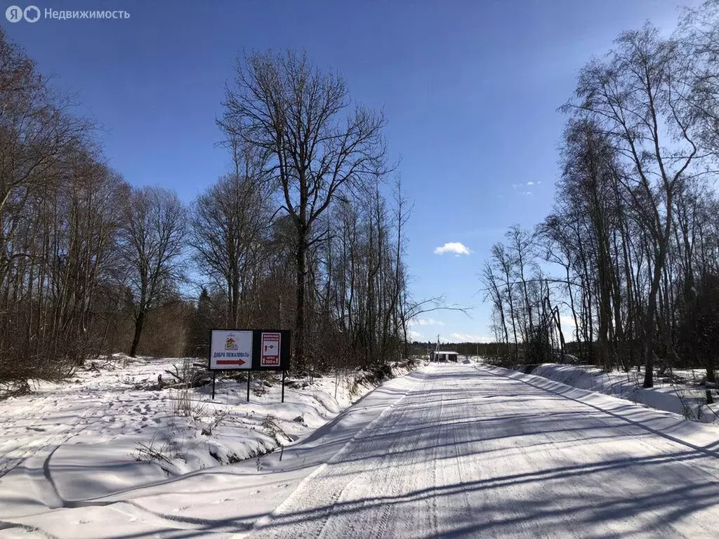 Участок в Гостилицкое сельское поселение, садоводческое некоммерческое ... - Фото 2