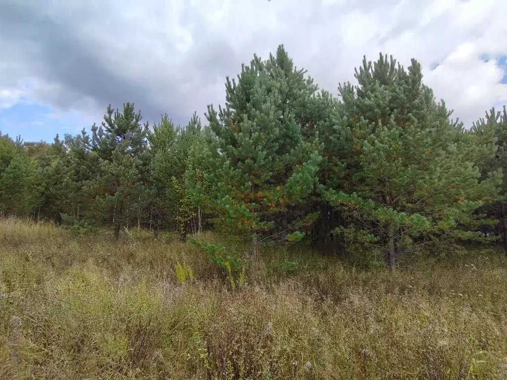 Участок в Новосибирская область, Новосибирский район, Кубовинский ... - Фото 1