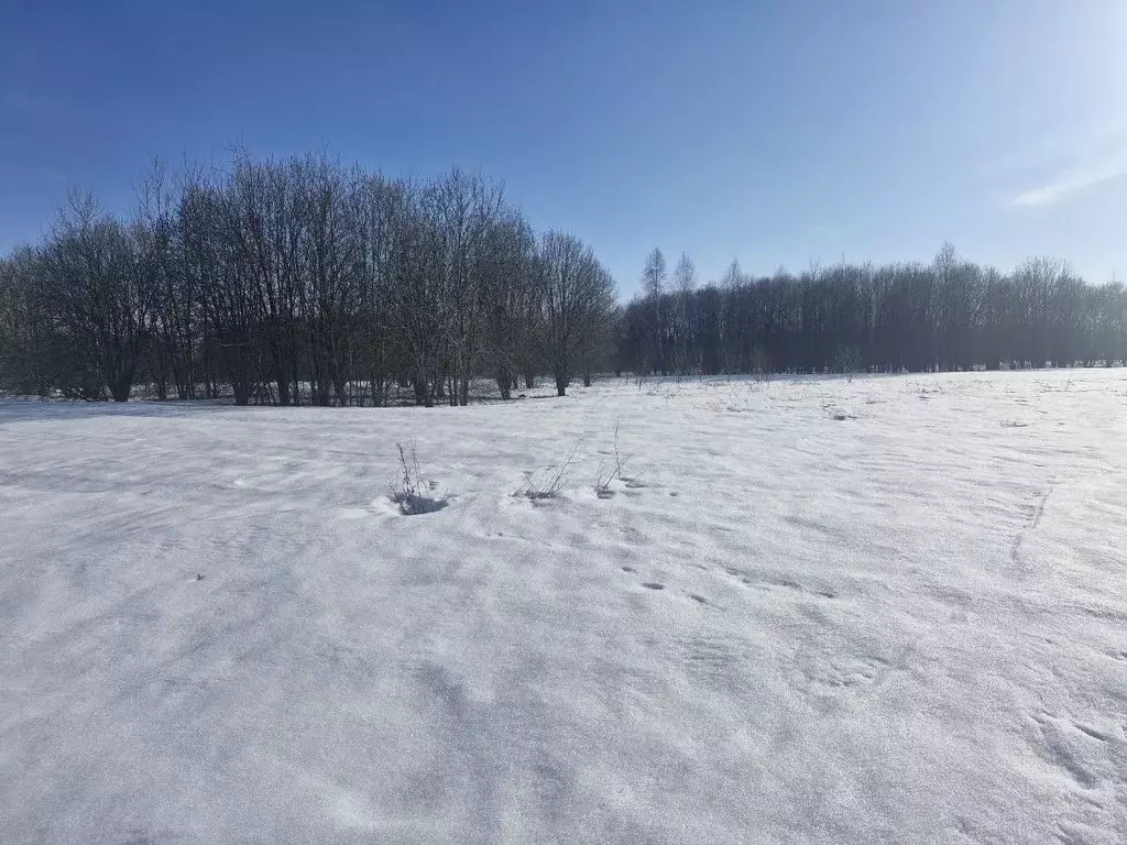 Участок в Московская область, Ступино городской округ, д. Дорки  (20.0 ... - Фото 1