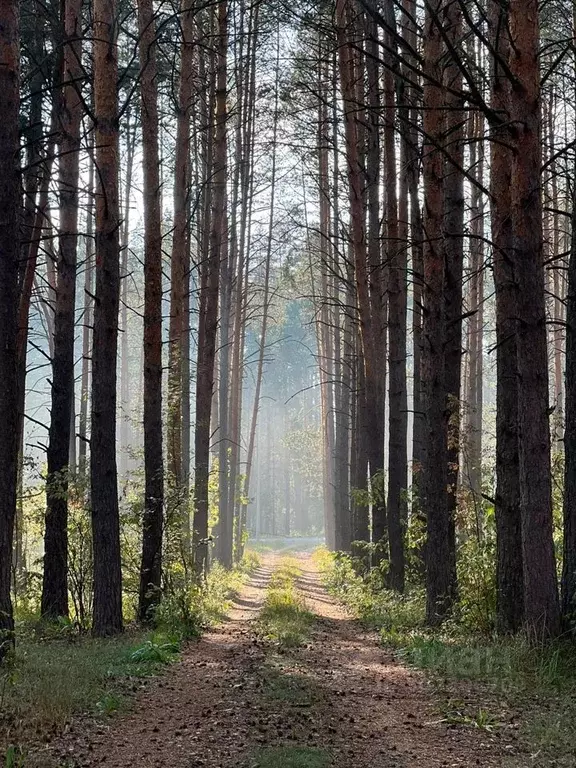 Участок в Татарстан, Зеленодольский район, Раифское с/пос, с. ... - Фото 0