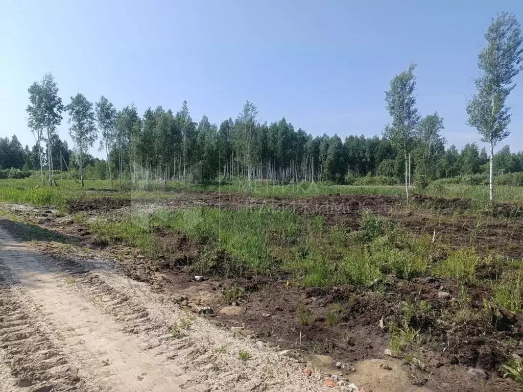 Участок в Тюменская область, Нижнетавдинский район, с. Тюнево  (8.0 ... - Фото 0