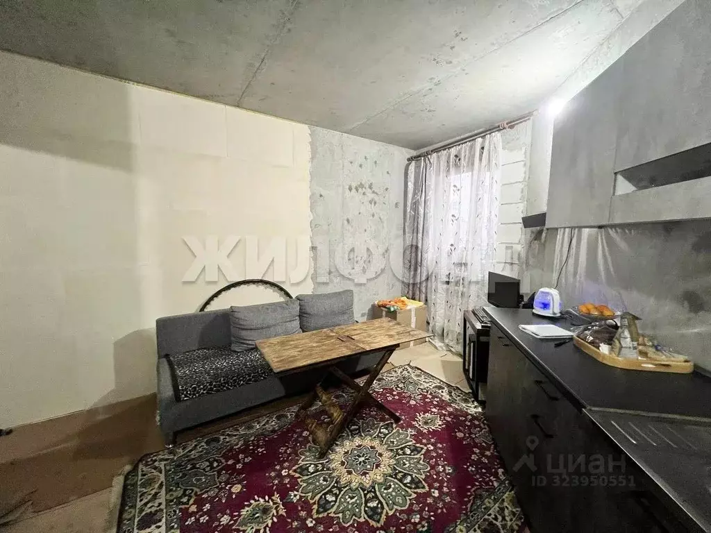 1-к кв. Воронежская область, с. Новая Усмань ул. Полевая, 41Б (38.2 м) - Фото 2