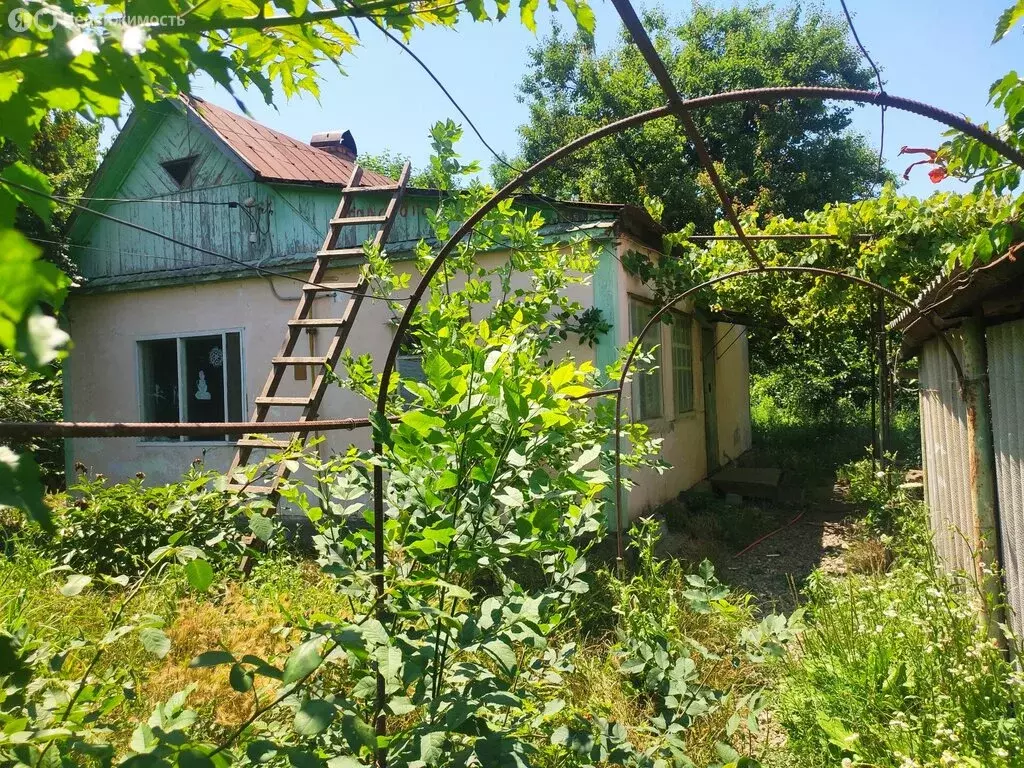 Дом в Ахтырский, улица Толстого (49 м) - Фото 1