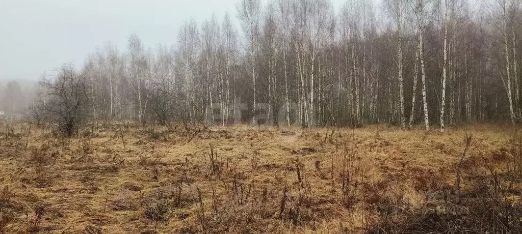 Участок в Владимирская область, Киржачский муниципальный округ, д. ... - Фото 2