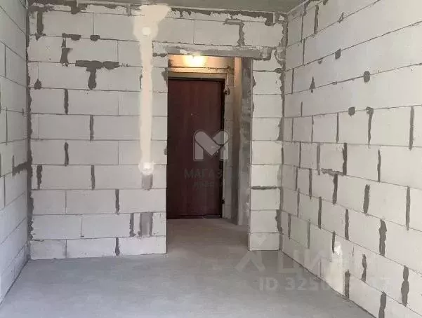 Студия Ленинградская область, Мурино Всеволожский район, ул. Шоссе в ... - Фото 2