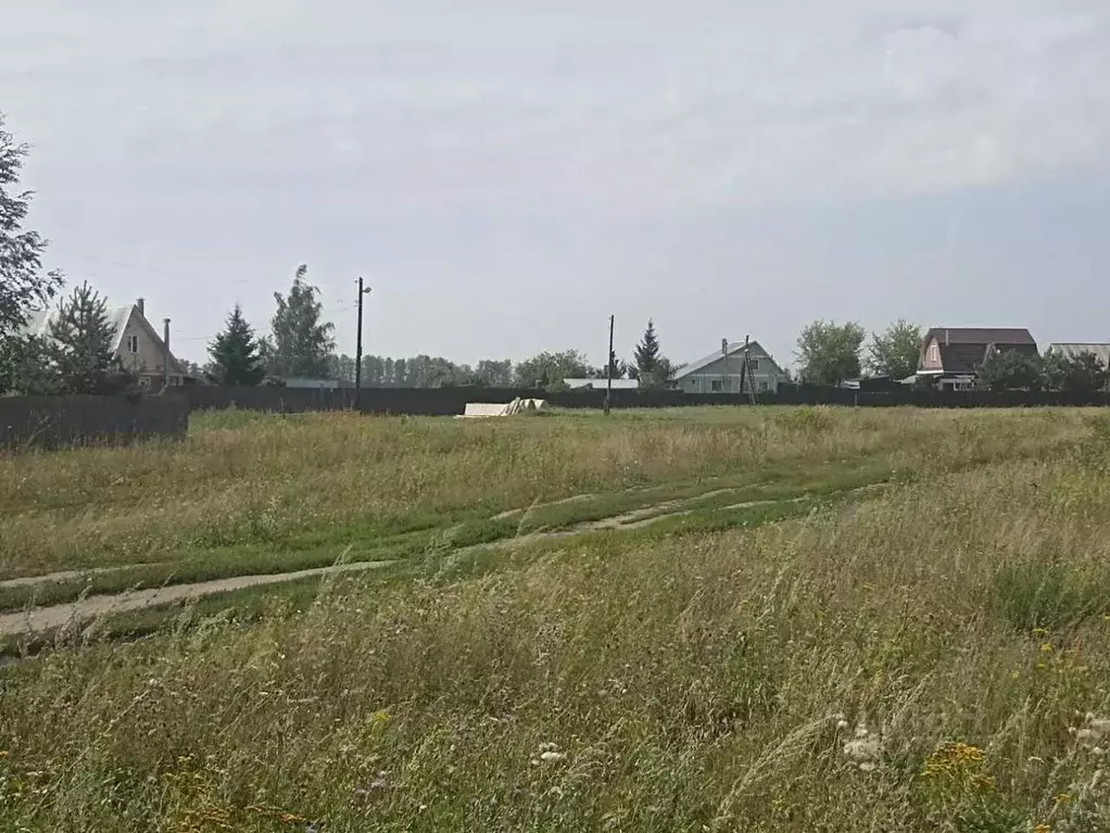 Участок в Рязанская область, Рязанский муниципальный округ, Тюшевское ... - Фото 2