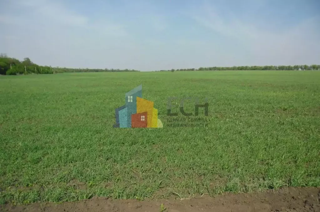 Участок в Тульская область, Тула городской округ, с. Частое  (11.96 ... - Фото 2