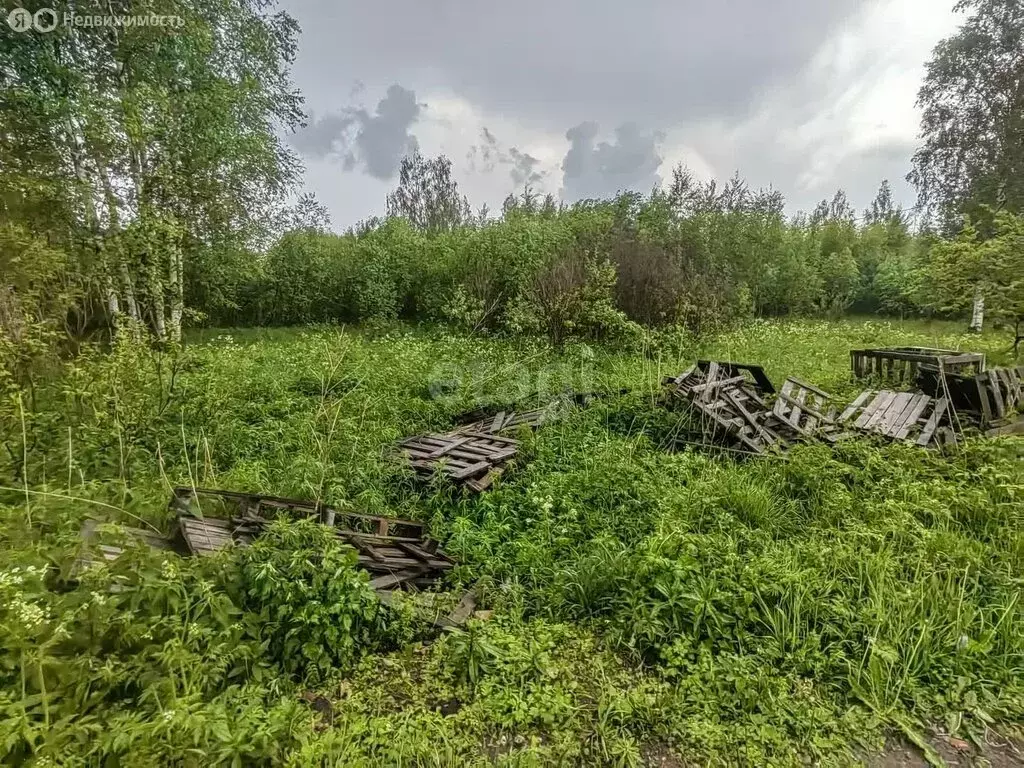 Участок в Заволжское сельское поселение, СНТ Росток (11 м) - Фото 1