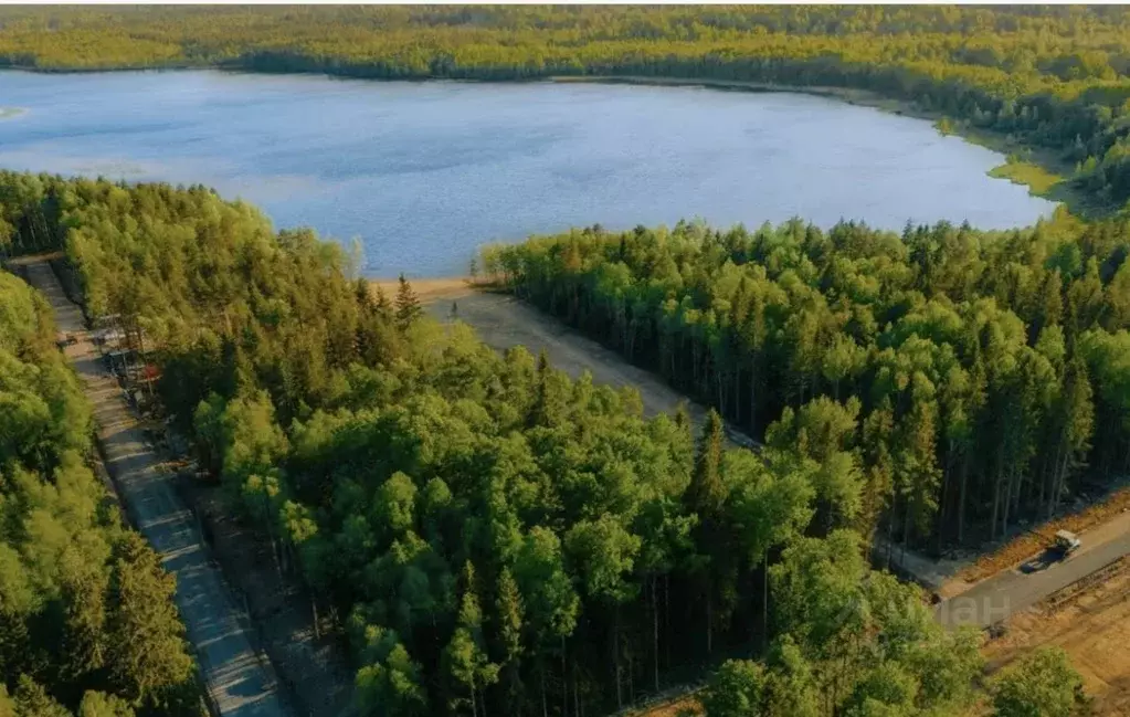 Участок в Ленинградская область, Всеволожский район, Токсовское ... - Фото 1