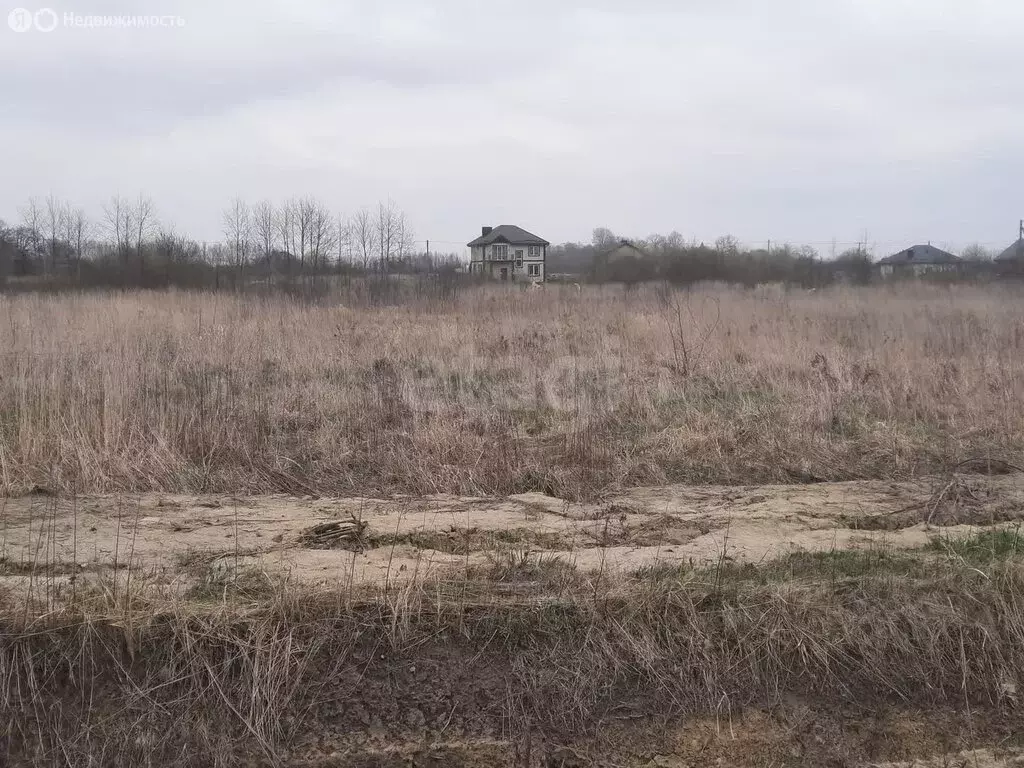 Участок в Калининградская область, посёлок городского типа Янтарный ... - Фото 1