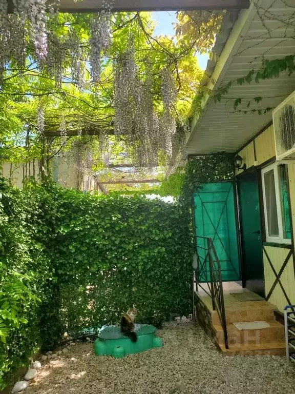 Дом в Севастополь ул. Федоровская, 37 (30 м) - Фото 0