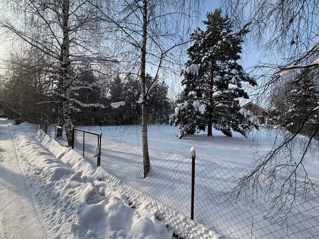 Участок в Московская область, Раменский муниципальный округ, Ильинский ... - Фото 1