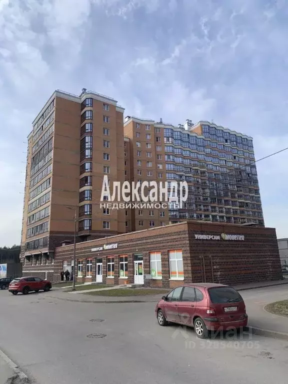 Студия Ленинградская область, Всеволожск ш. Дорога Жизни, 7к1 (20.5 м) - Фото 1