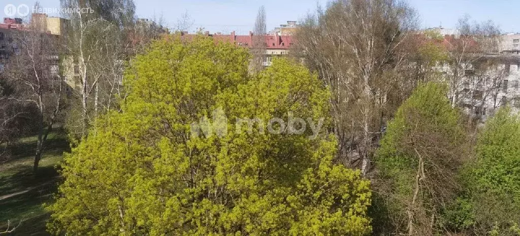 2-комнатная квартира: Калининград, улица Куйбышева, 73 (51.2 м) - Фото 2