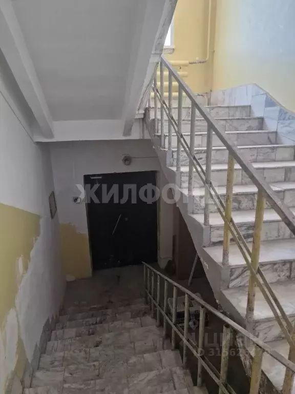 Помещение свободного назначения в Новосибирская область, Новосибирск ... - Фото 1