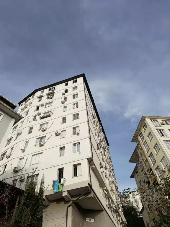 Студия Краснодарский край, Сочи Виноградная ул. (28.0 м) - Фото 2