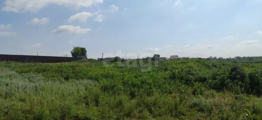 Участок в Оренбургская область, Оренбург городской округ, пос. ... - Фото 1