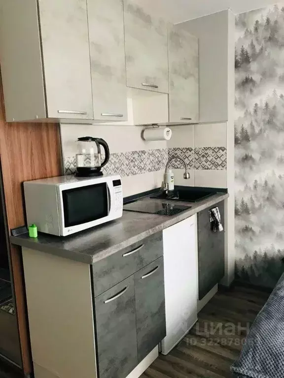 Студия Ивановская область, Иваново Новосельская ул. (18.7 м) - Фото 1