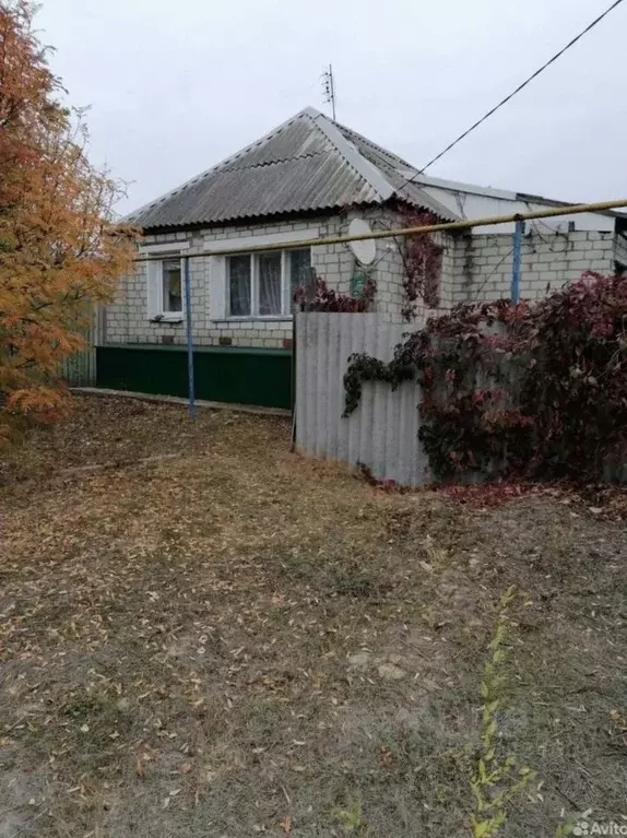 Дом в Белгородская область, Чернянка рп ул. Маринченко, 68 (33 м) - Фото 2