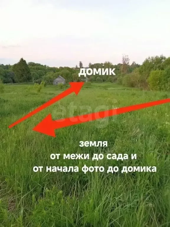 Дом в Брянская область, Выгоничский район, Кокинское с/пос, с. ... - Фото 1