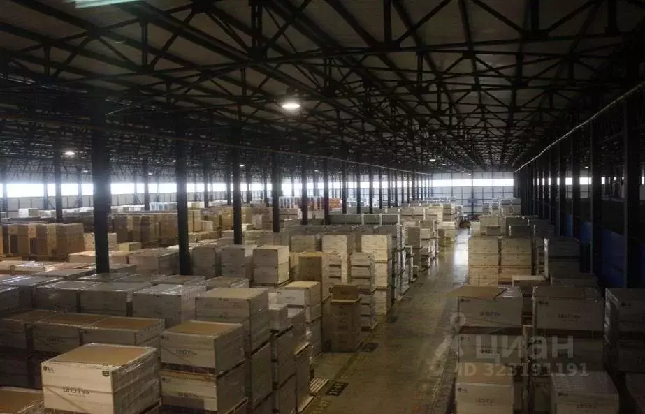 Склад в Московская область, Рузский муниципальный округ, д. Шелковка ... - Фото 1