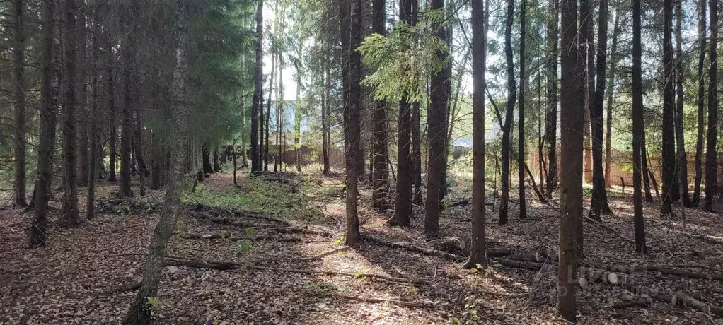 Участок в Владимирская область, Киржачский район, Першинское ... - Фото 1
