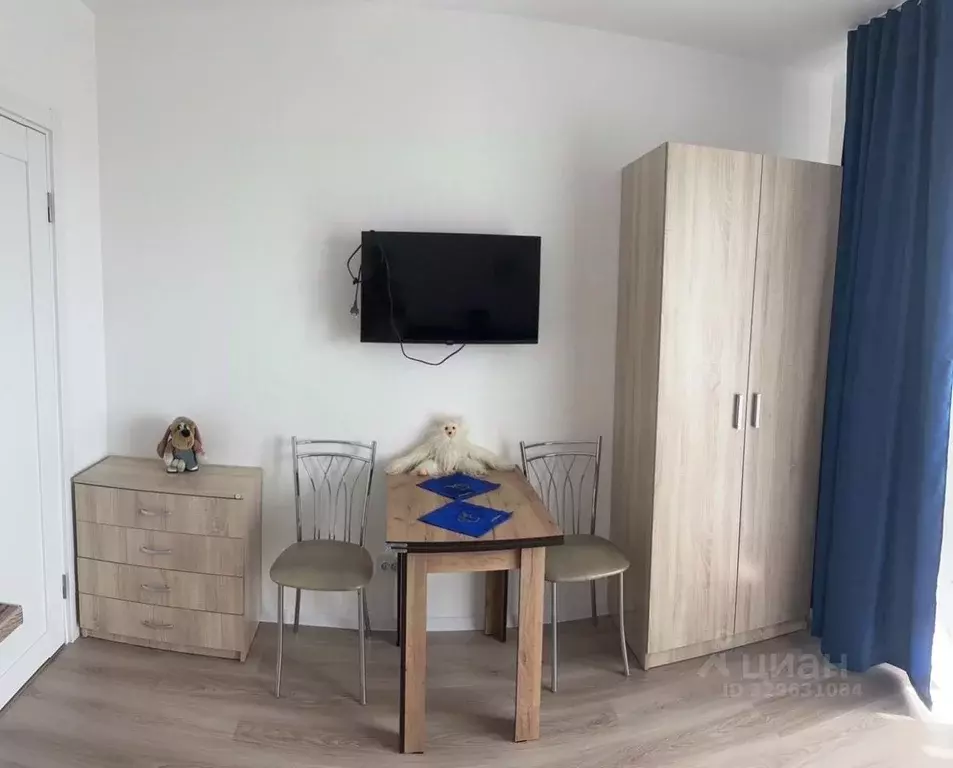 Студия Санкт-Петербург ул. Пахомовская, 21 (20.0 м) - Фото 1