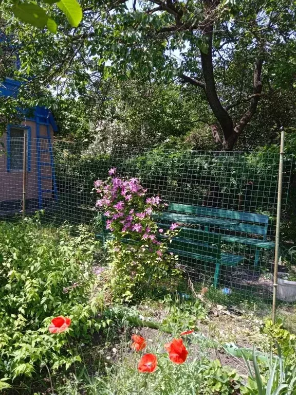 Участок в Ростовская область, Ростов-на-Дону 2-я Часовая ул. (9.0 ... - Фото 2