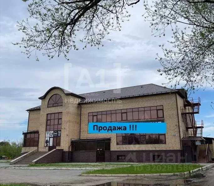 Торговая площадь в Челябинская область, Копейск просп. Победы, 39А ... - Фото 0