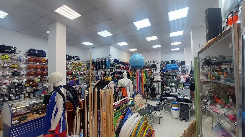 Помещение свободного назначения в Санкт-Петербург Народная ул., 5 (46 ... - Фото 2