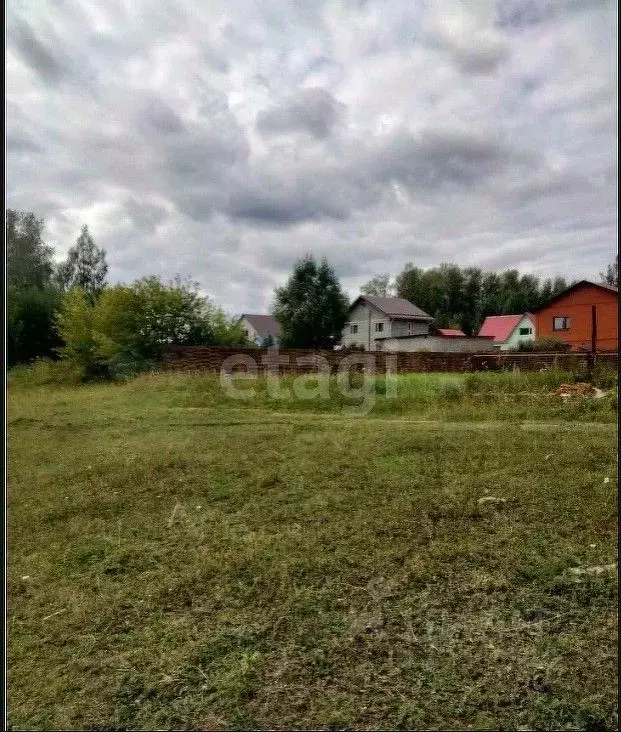 Участок в Новосибирская область, Новосибирский район, с. Раздольное ... - Фото 0