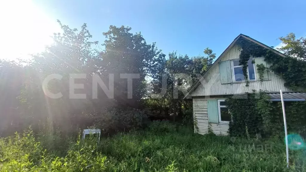 Дом в Калужская область, Боровский район, Кривское с/пос, д. Заречье, ... - Фото 2