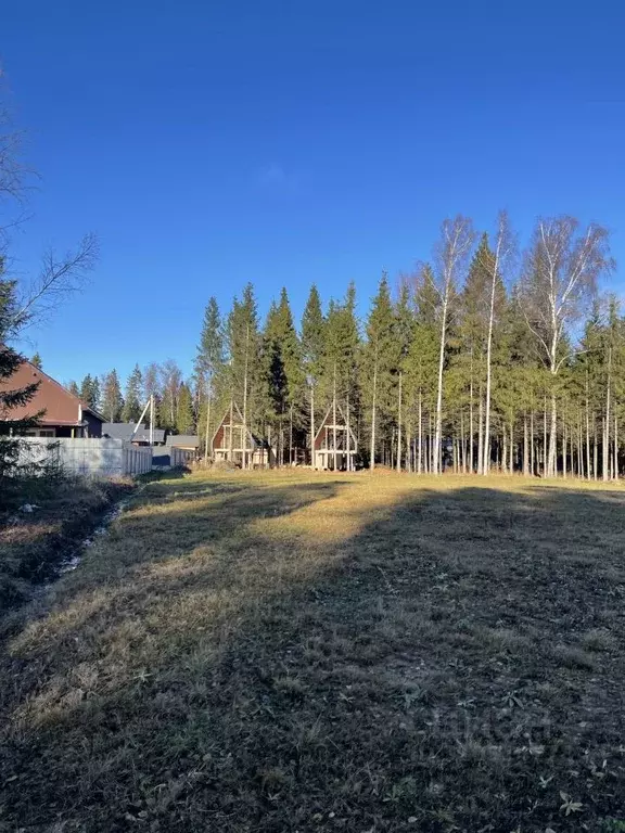 Участок в Московская область, Подольск городской округ, д. Пузиково, ... - Фото 0