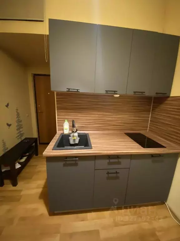 Студия Санкт-Петербург пер. Каховского, 10 (15.0 м) - Фото 1