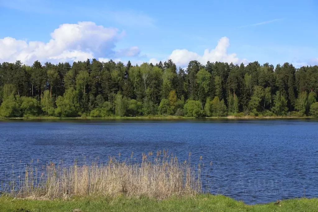 Участок в Московская область, Волоколамский муниципальный округ, КП ... - Фото 2
