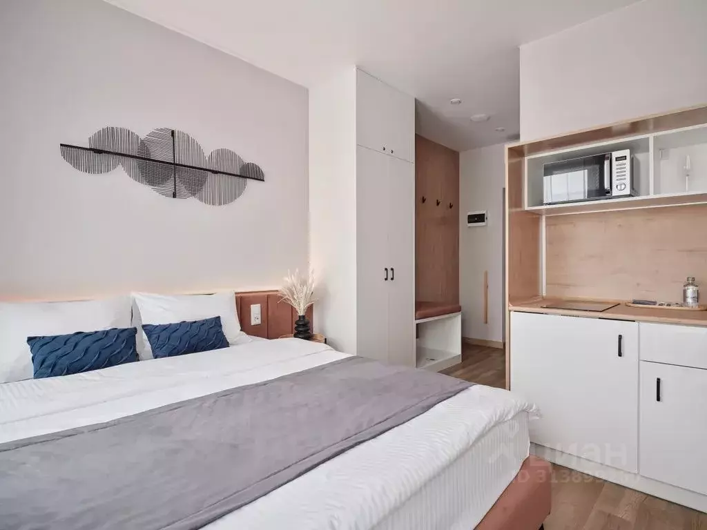 1-к кв. Новосибирская область, Новосибирск ул. Ленина, 85 (18.0 м) - Фото 1