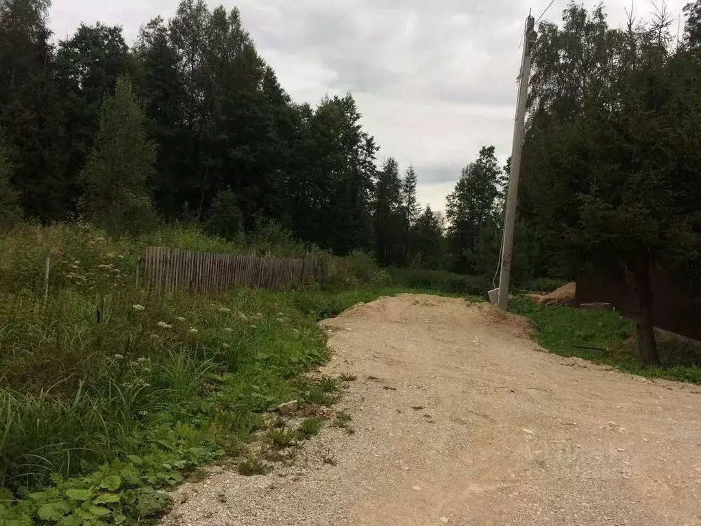 Участок в Новгородская область, Новгородский район, Савинское с/пос, ... - Фото 0