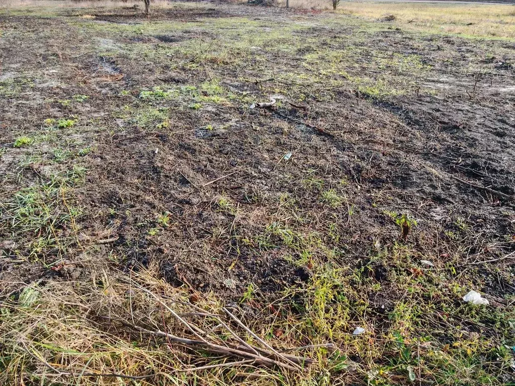 Участок в Белгородская область, Строитель Яковлевский городской округ, ... - Фото 1