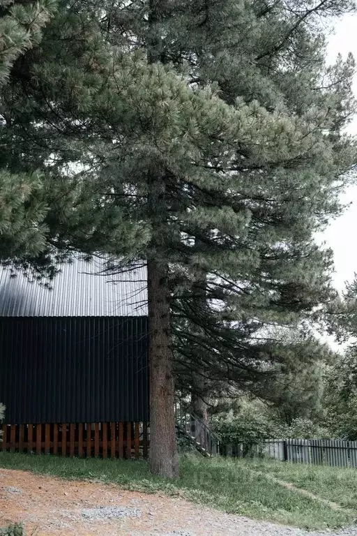 Дом в Томская область, Томский район, пос. Трубачево ул. Зеленая, 2/7 ... - Фото 2