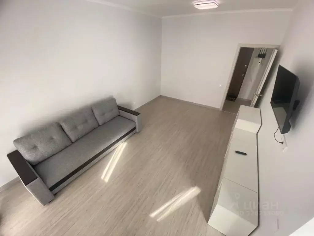 1-к кв. Московская область, Солнечногорск городской округ, Голубое пгт ... - Фото 2