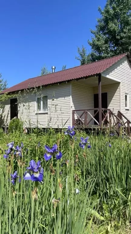 Участок в Ленинградская область, Ломоносовский район, Виллозское ... - Фото 2