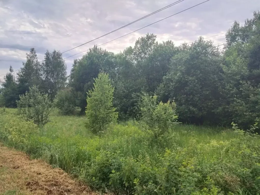 Участок в Московская область, Коломна городской округ, с. Горы  (14.88 ... - Фото 1