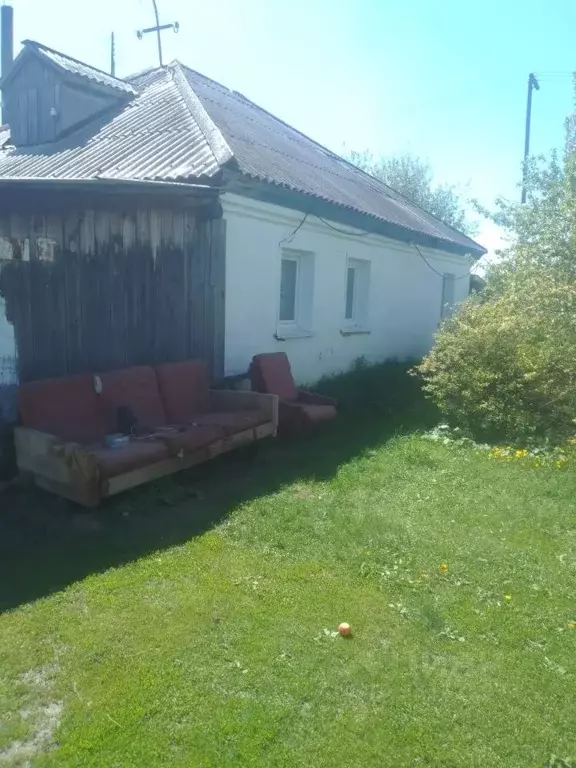 Дом в Алтайский край, Ребрихинский район, с. Подстепное Луговая ул., ... - Фото 2