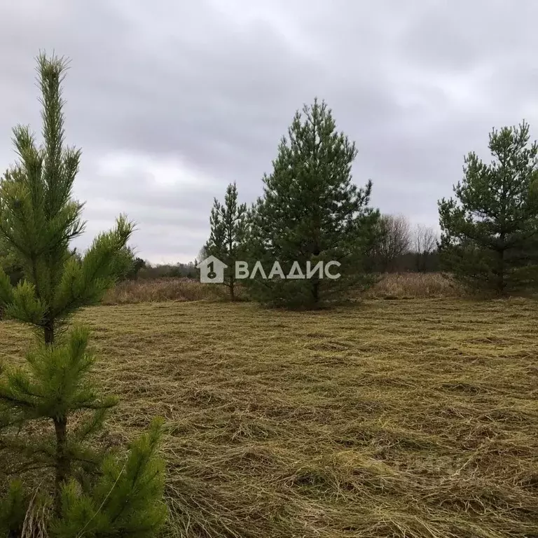 Участок в Нижегородская область, Бор муниципальный округ, с. Ильинское ... - Фото 2