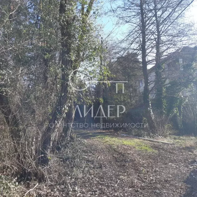 Участок в Краснодарский край, Сочи Магнитогорская ул., 3 (568.0 сот.) - Фото 2