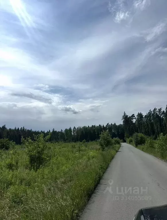 Участок в Московская область, Богородский городской округ, д. Калитино ... - Фото 1