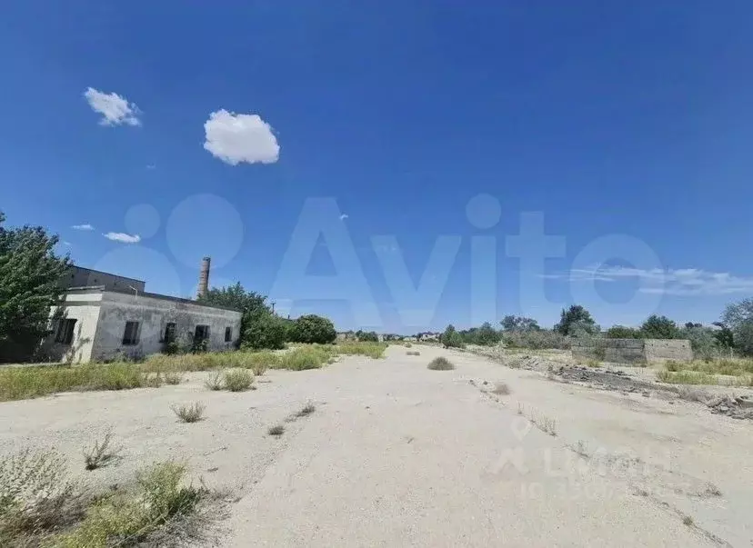 Участок в Крым, Евпатория ш. Черноморское, 19Л (305.0 сот.) - Фото 1