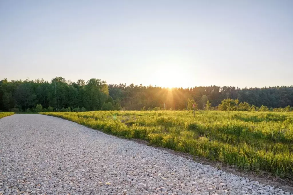Участок в Московская область, Ступино городской округ, д. Лапино  ... - Фото 1