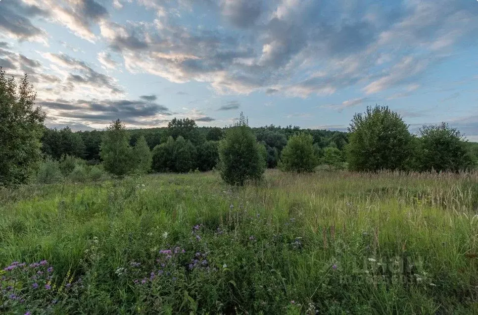 Участок в Мордовия, Кочкуровский район, с. Мурань Лесная ул. (28.0 ... - Фото 1