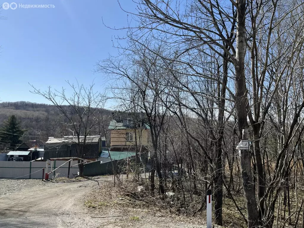 Участок в Хабаровский район, СНТ Берёзка (13.179999 м) - Фото 0